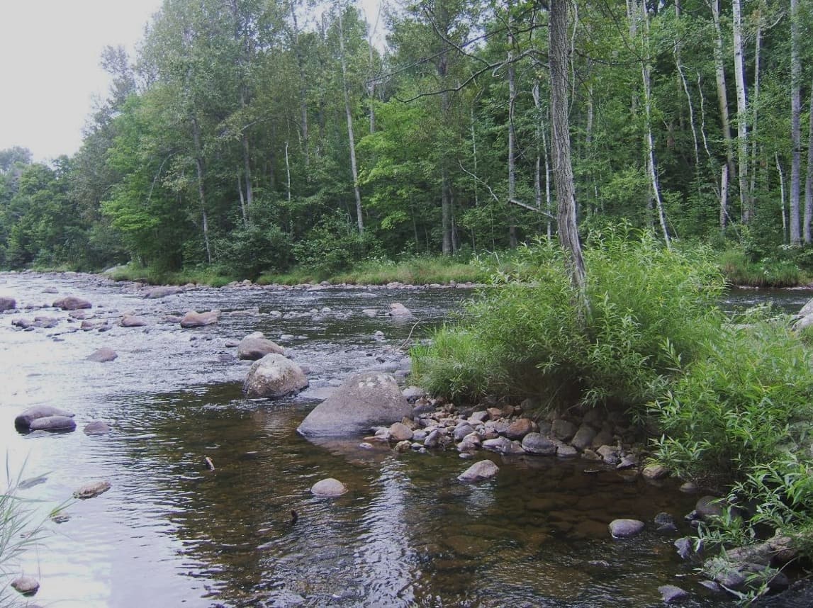 32-RR-river3-Rocky_River_Chalet_Summer_2102612
