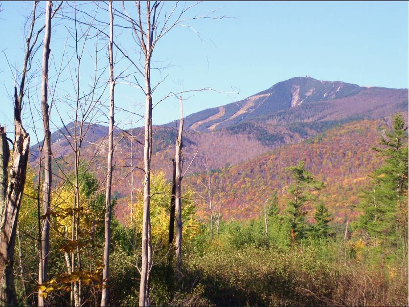 22.	Autumn view of Whiteface Mountain