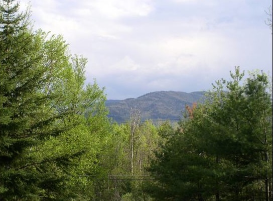 27.	Mountain View from Cabin