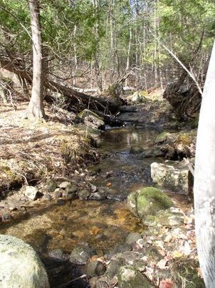 22.	Stream